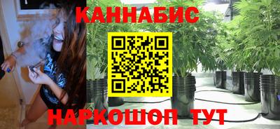 круглые Кингисепп