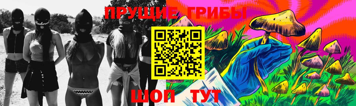Киров  Галлюциногенные грибы MAGIC MUSHROOMS  Псилоцибиновые грибы Psilocybe  Вход с VPN 
