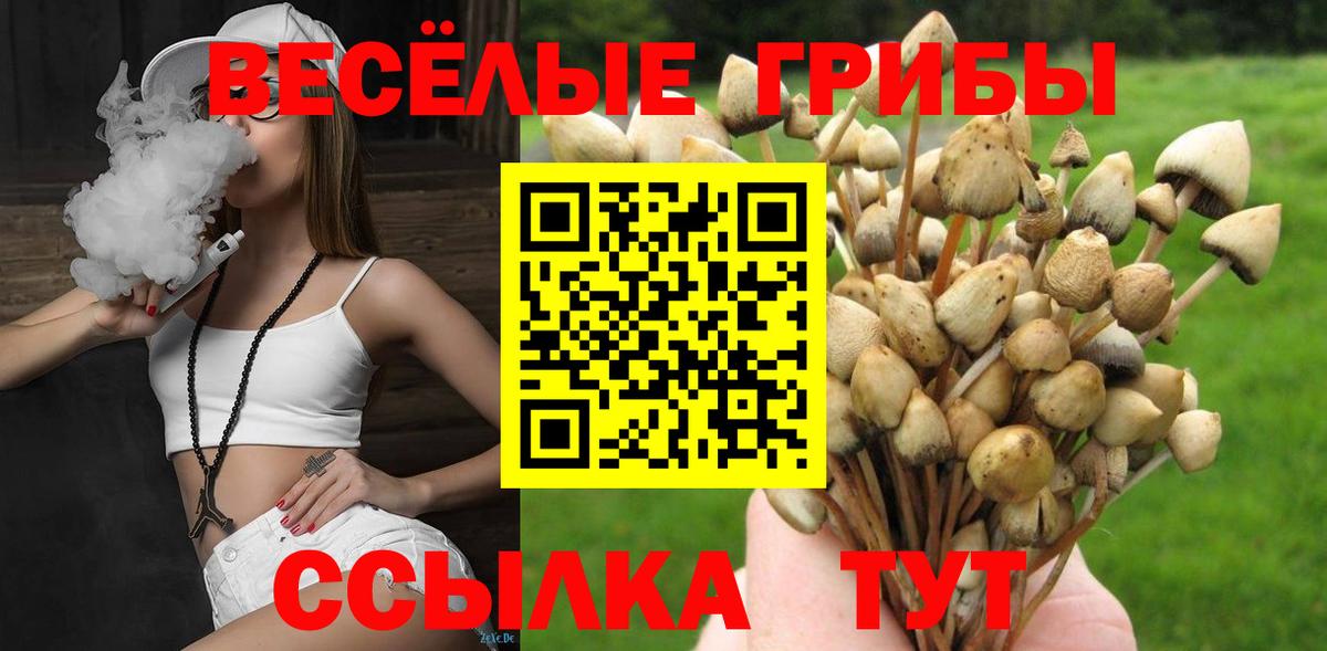 Галлюциногенные грибы прущие грибы Киров