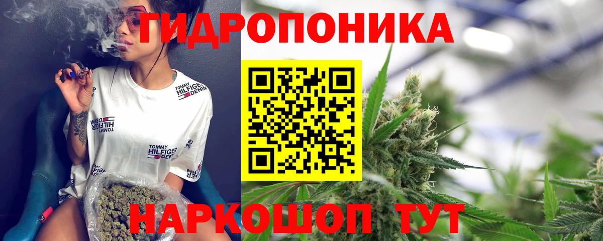 Каннабис индика Киров
